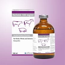 Nefotek 100 mg/ml Alfavet_0