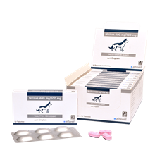 Nicilan 400 mg/100 Tabletten mg für Hunde_0