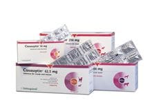 Clavaseptin 250 mg_1