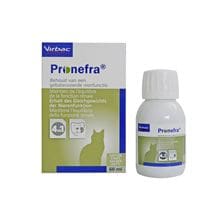 Pronefra_1