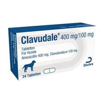 Clavudale 400/100 mg Tabletten für Hunde_1