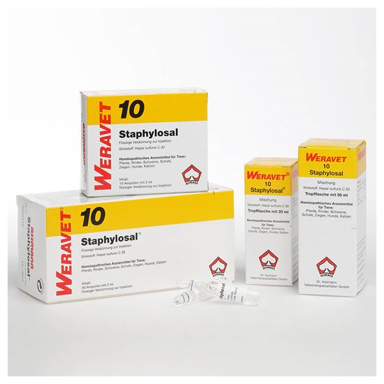Staphylosal Injektionslösung_0