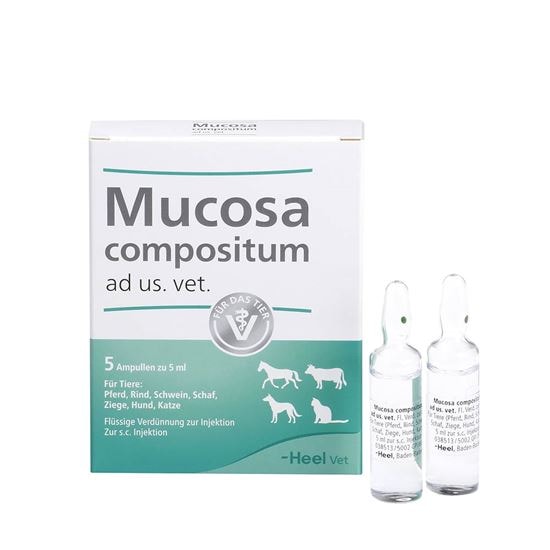 Mucosa compositum ad us. vet._0