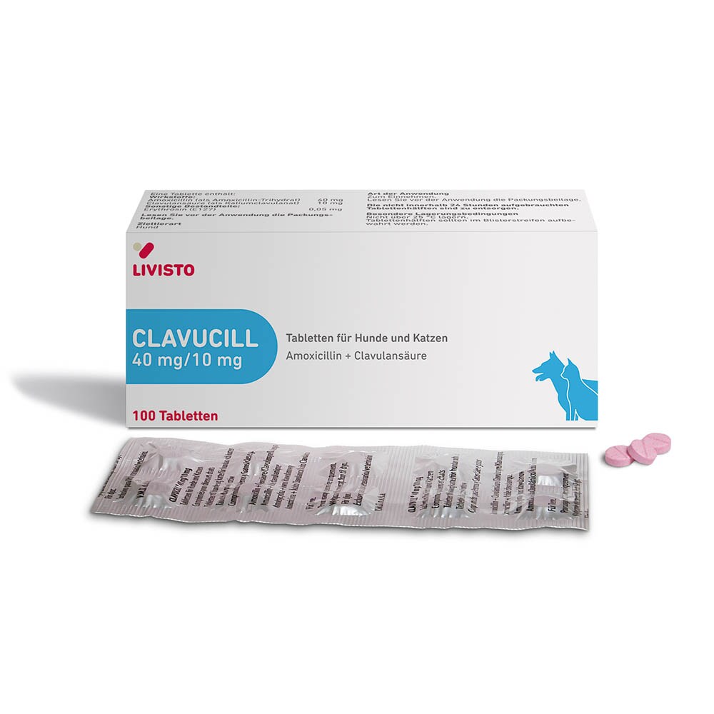 Amoxicillin 40 Mg Katze