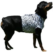 MPS Shirt Hund Zebraprint Gr. XXXS_1