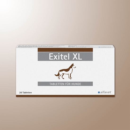 Exitel XL_0