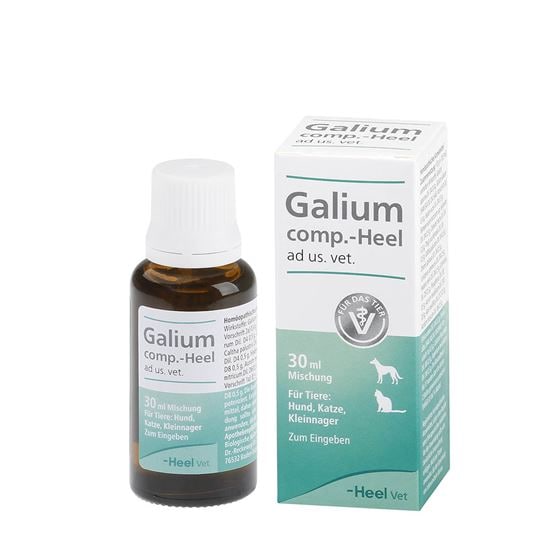 Galium comp.-Heel ad us. vet._0