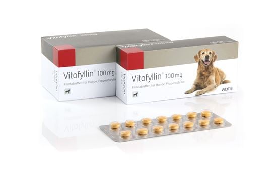 Vitofyllin® 100 mg_0