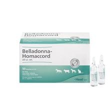 Belladonna- Homaccord ad us. vet._0
