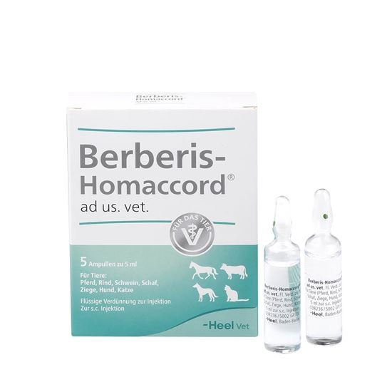 Berberis-Homaccord ad us. vet._0
