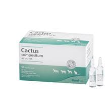 Cactus compositum ad us. vet_1
