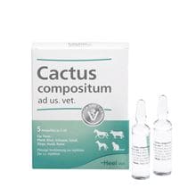 Cactus compositum ad us. vet_0
