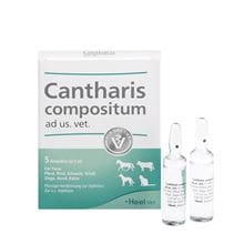 Cantharis compositum ad us. vet._0
