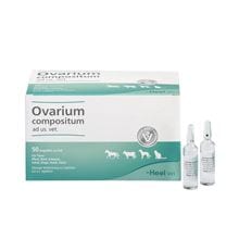 Ovarium compositum ad us. vet._0