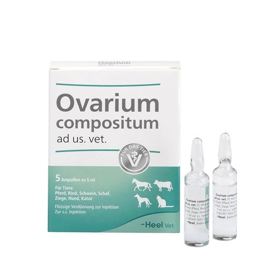 Ovarium compositum ad us. vet._0