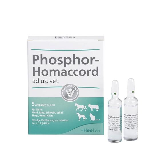 Phosphor-Homaccord ad us. vet._0