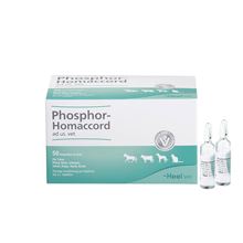 Phosphor-Homaccord ad us. vet._1