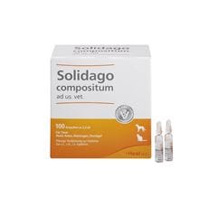 Solidago compositum ad us. vet._1