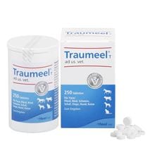 Traumeel T ad us. vet. Tabletten_1