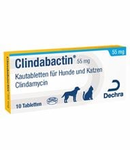 Clindabactin 55 mg_1