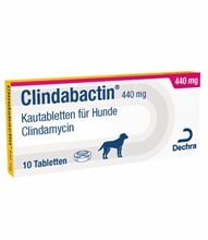 Clindabactin 440 mg_1