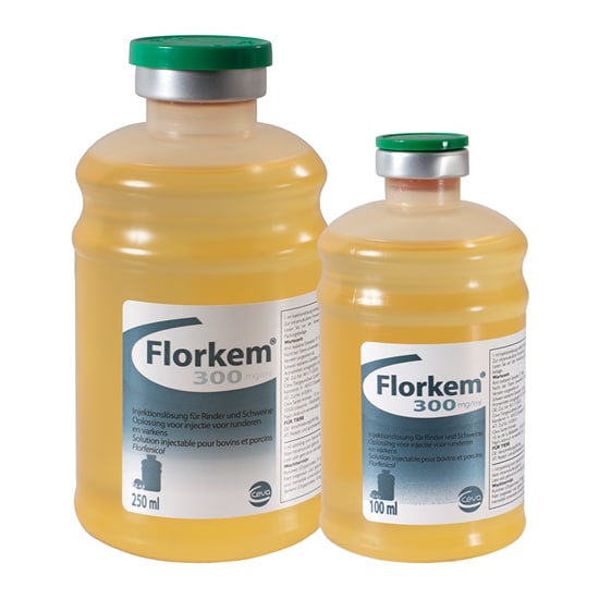 Florkem® 300 mg/ml_0