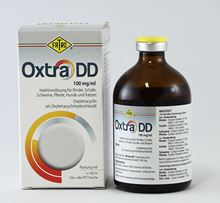 Oxtra DD_0