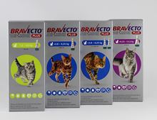 Bravecto PLUS Spot On 112,5 mg/5,6 mg für Katzen 1,2-2,8 kg_0