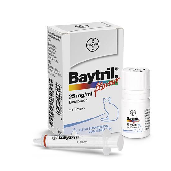 Baytril® flavour 25 mg/ml orale Suspension für Katzen_0