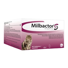 Milbactor® für Katzen von 2 - 8 kg_0