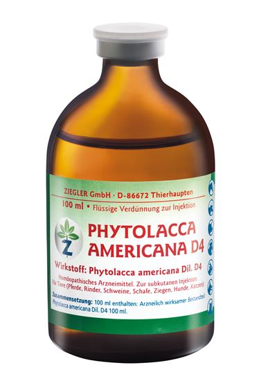 Phytolacca americana D4 Ziegler_0