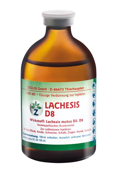 Lachesis D8 Injektionslösung_0