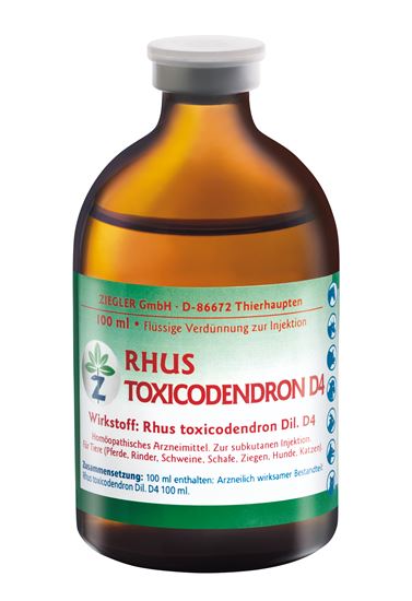 Rhus Toxicodendron D4 Injektionslösung_0