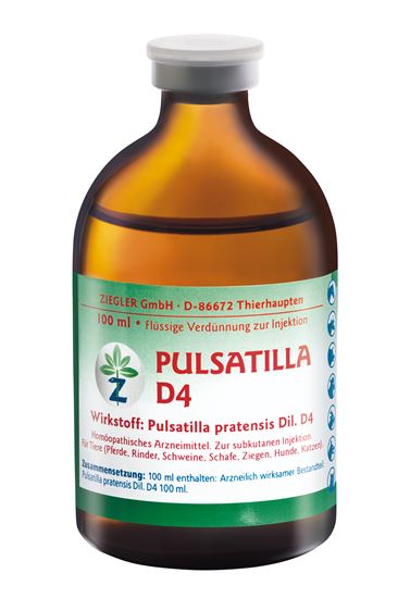 Pulsatilla D4 Injektionslösung_0