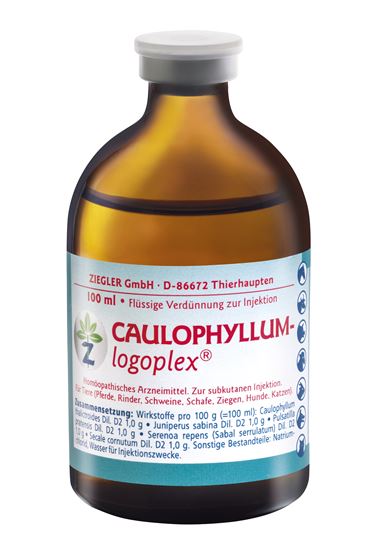 Caulophyllum-logoplex Injektionslösung vet._0