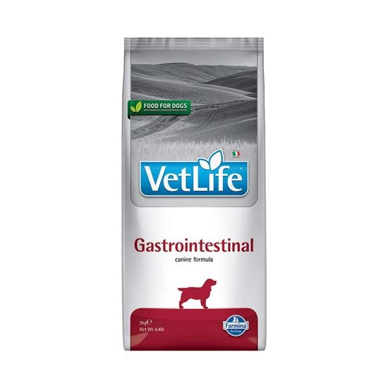 Farmina VetLife Gastro Intestinal Trockenfutter Hund_0