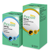 Pexion 400 mg_1