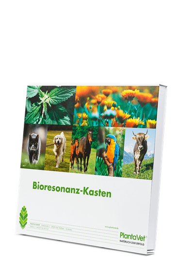 Bioresonanz-Kasten_1
