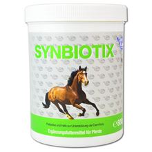 Synbiotix Pulver_0