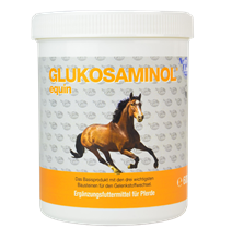 Glukosaminol® equin Pulver_0