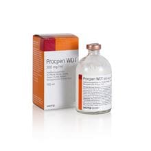 Procpen WDT 300 mg/ml_1