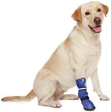 Medical PetS Boot L_1