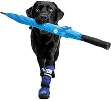 Medical PetS Boot XL_1