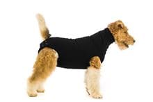 Suitical Recovery Shirt Hund Schwarz S_1
