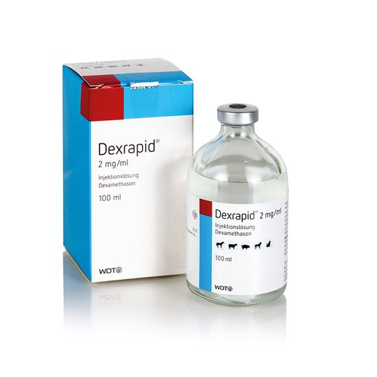 Dexrapid® 2 mg/ml_0
