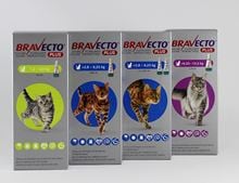 Bravecto PLUS Spot On 250 mg/12,5 mg  für Katzen > 2,8-6,25 kg_0
