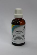 Schüßler Salz Nr. 2 Calcium phosphoricum, Dilution_1