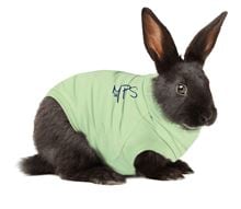 MPS Shirt Kaninchen grün Gr. S_1
