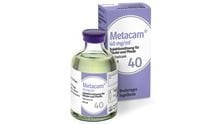 Metacam 40 mg/ml f. Pferde, Rinder_1