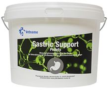 GASTRIC SUPPORT_1